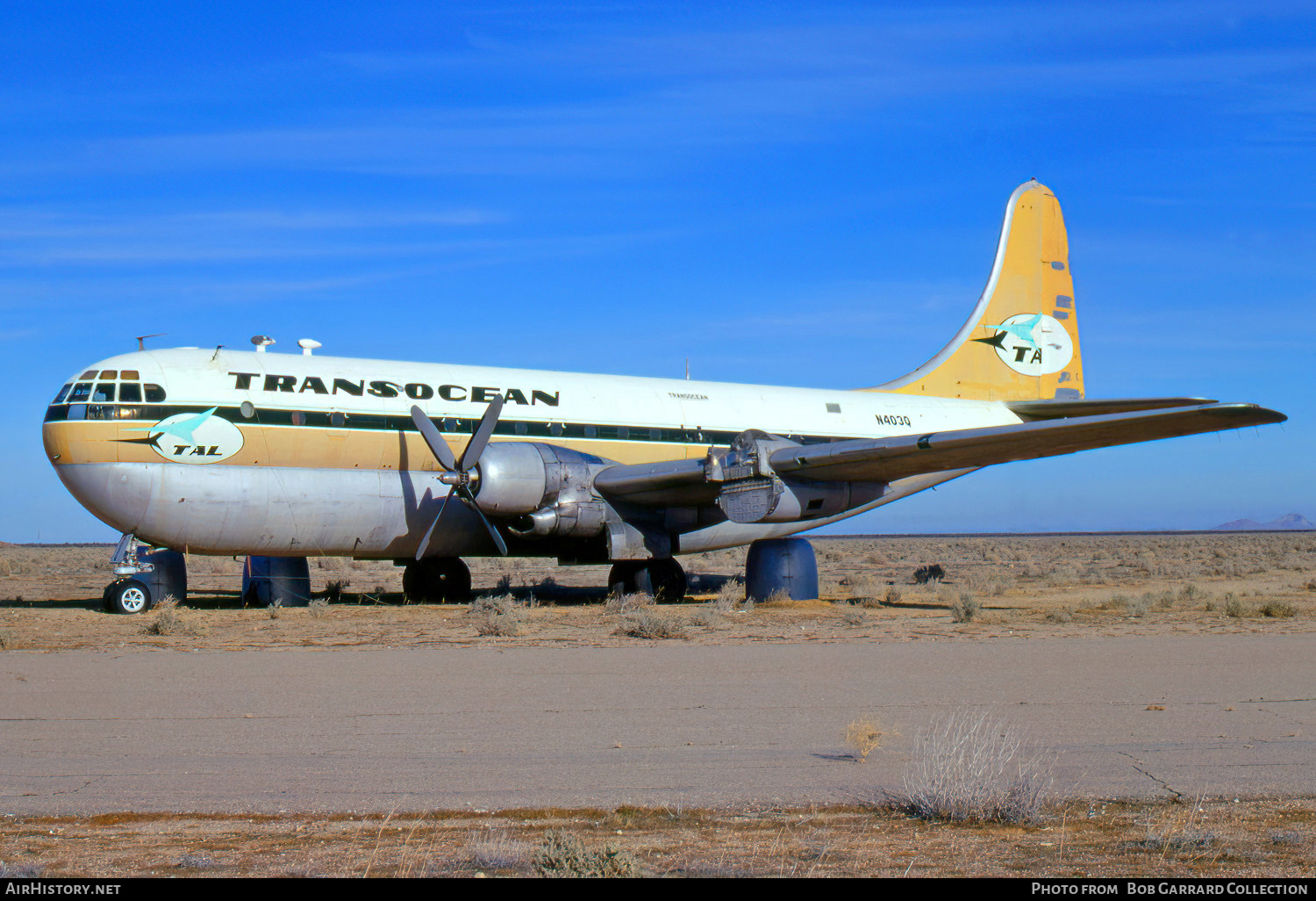 Aircraft Photo of N403Q | Boeing 377-10-19 Stratocruiser | Transocean Air Lines - TALOA | AirHistory.net #637562