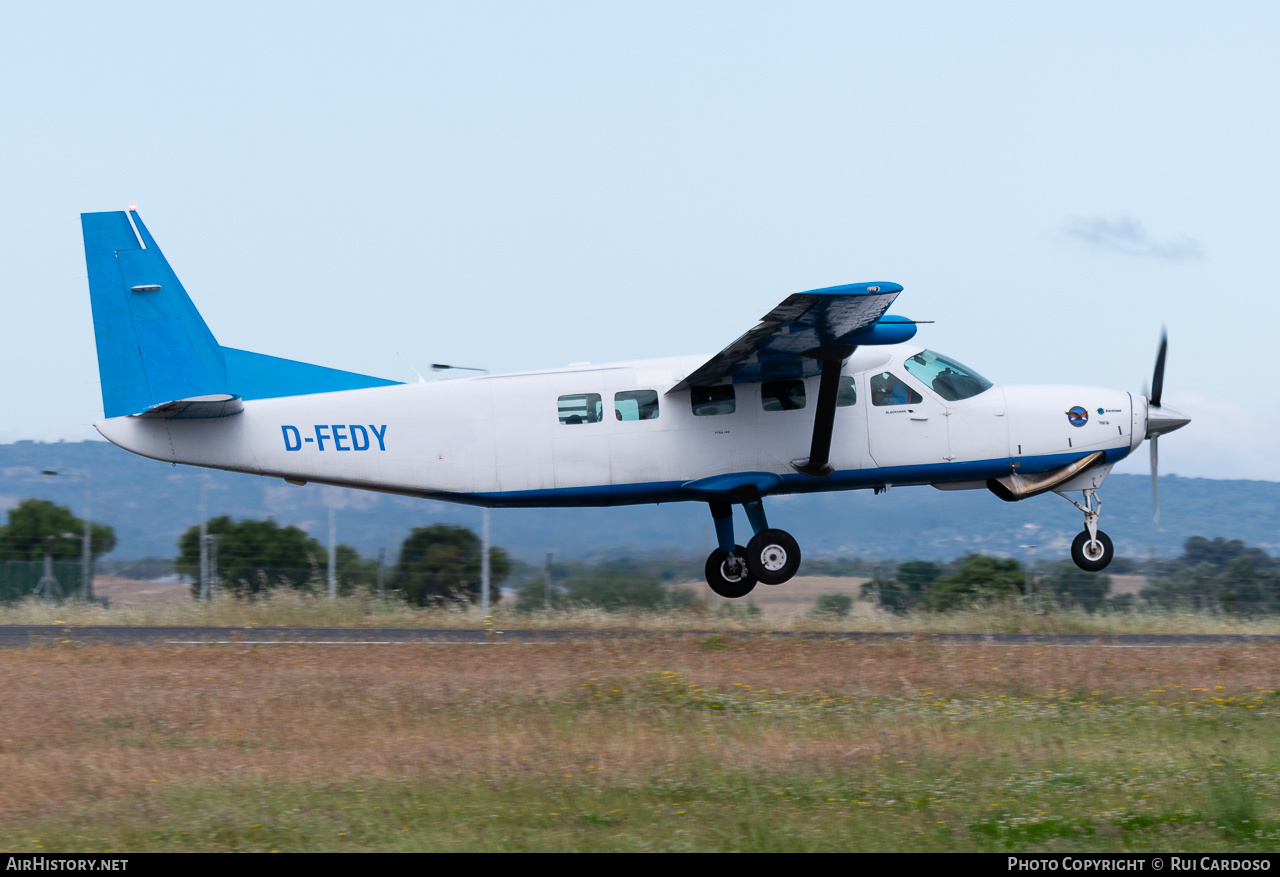 Aircraft Photo of D-FEDY | Cessna 208B Grand Caravan | Skydive Portugal | AirHistory.net #637617
