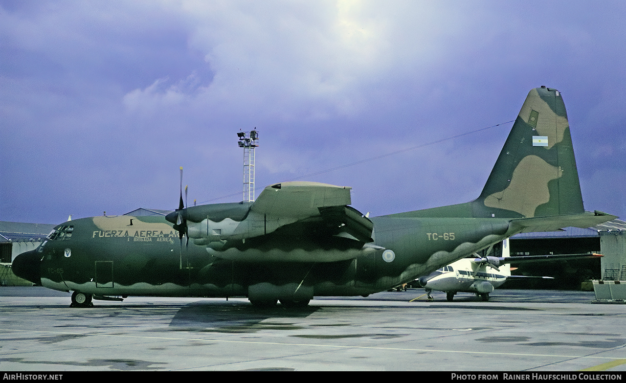 Aircraft Photo of TC-65 | Lockheed C-130H Hercules | Argentina - Air Force | AirHistory.net #638441
