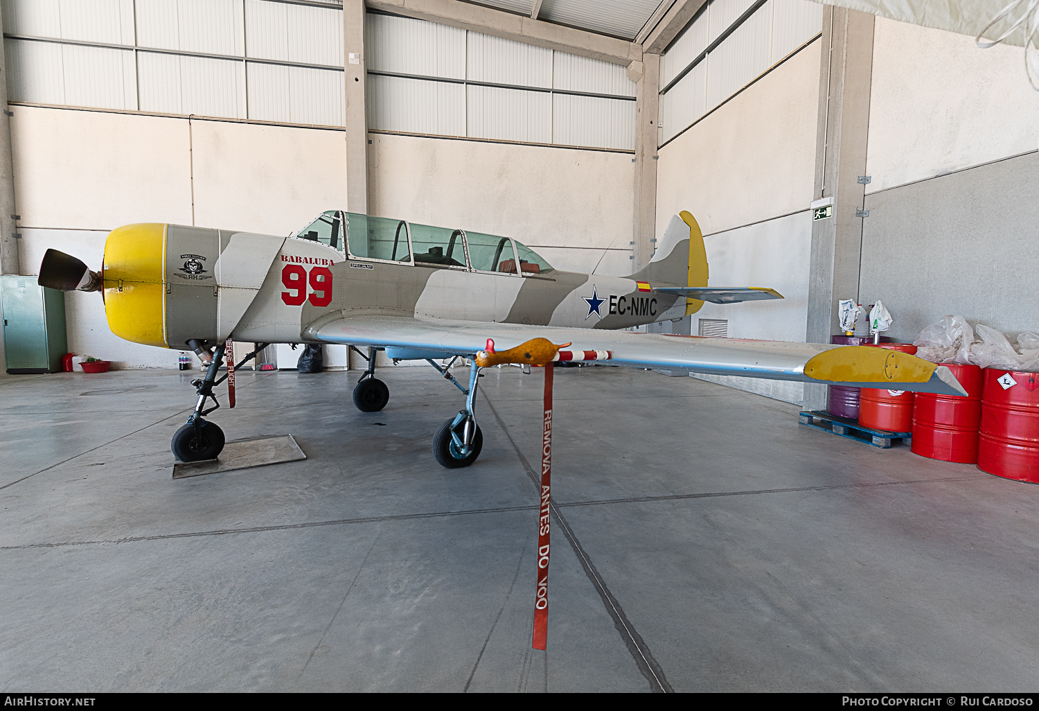 Aircraft Photo of EC-NMC | Yakovlev Yak-52 | AirHistory.net #639767