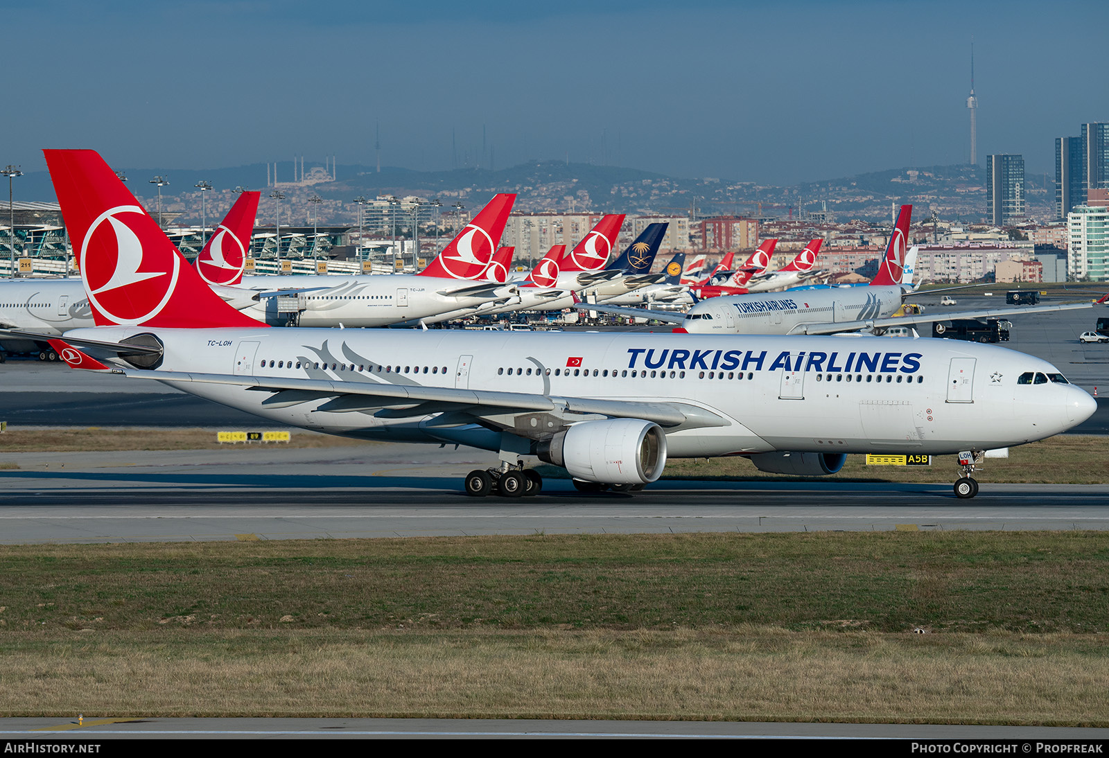 Aircraft Photo of TC-LOH | Airbus A330-223 | Turkish Airlines | AirHistory.net #641138