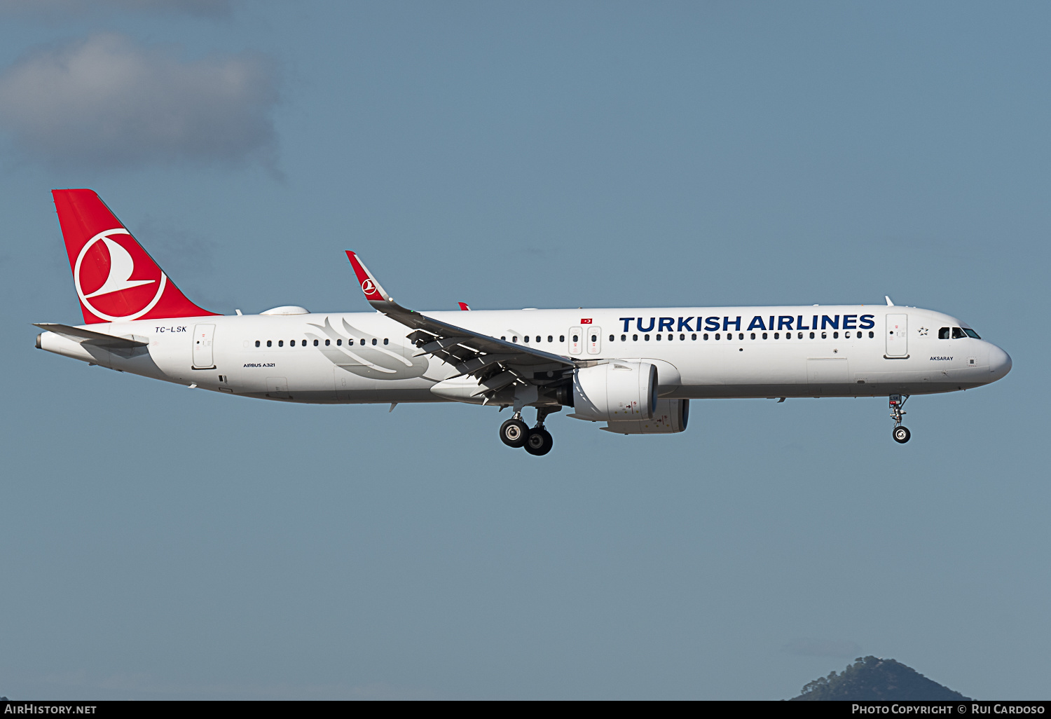 Aircraft Photo of TC-LSK | Airbus A321-271NX | Turkish Airlines | AirHistory.net #643239