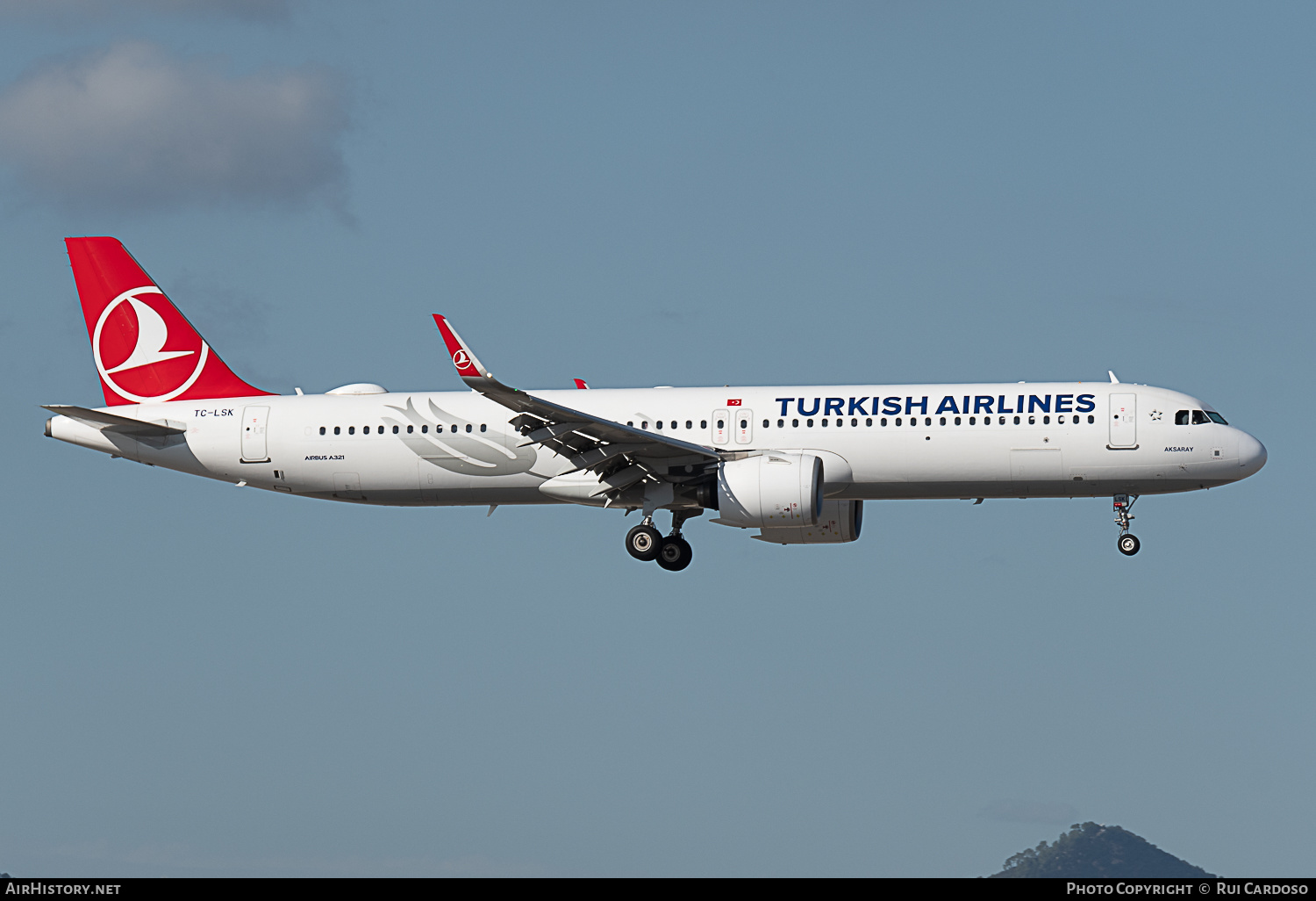 Aircraft Photo of TC-LSK | Airbus A321-271NX | Turkish Airlines | AirHistory.net #643239