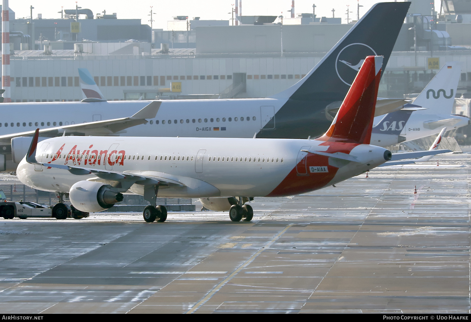 Aircraft Photo of D-AIAA | Airbus A321-211 | Avianca | AirHistory.net #643902