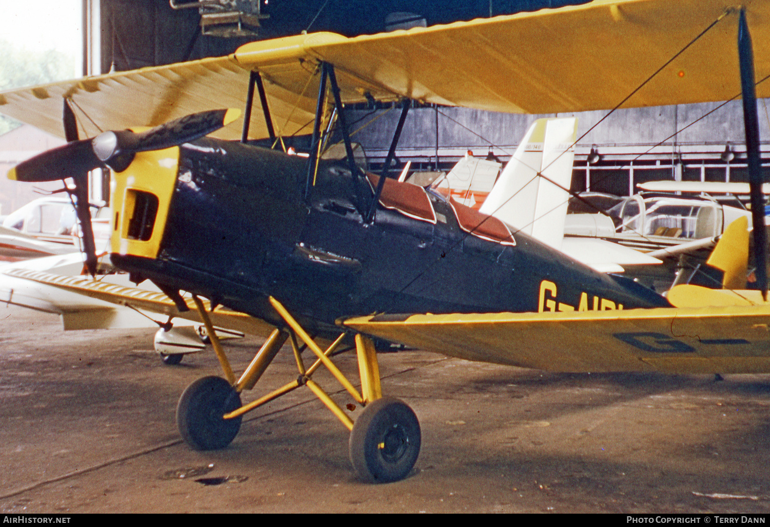Aircraft Photo of G-AIRI | De Havilland D.H. 82A Tiger Moth | AirHistory.net #643974