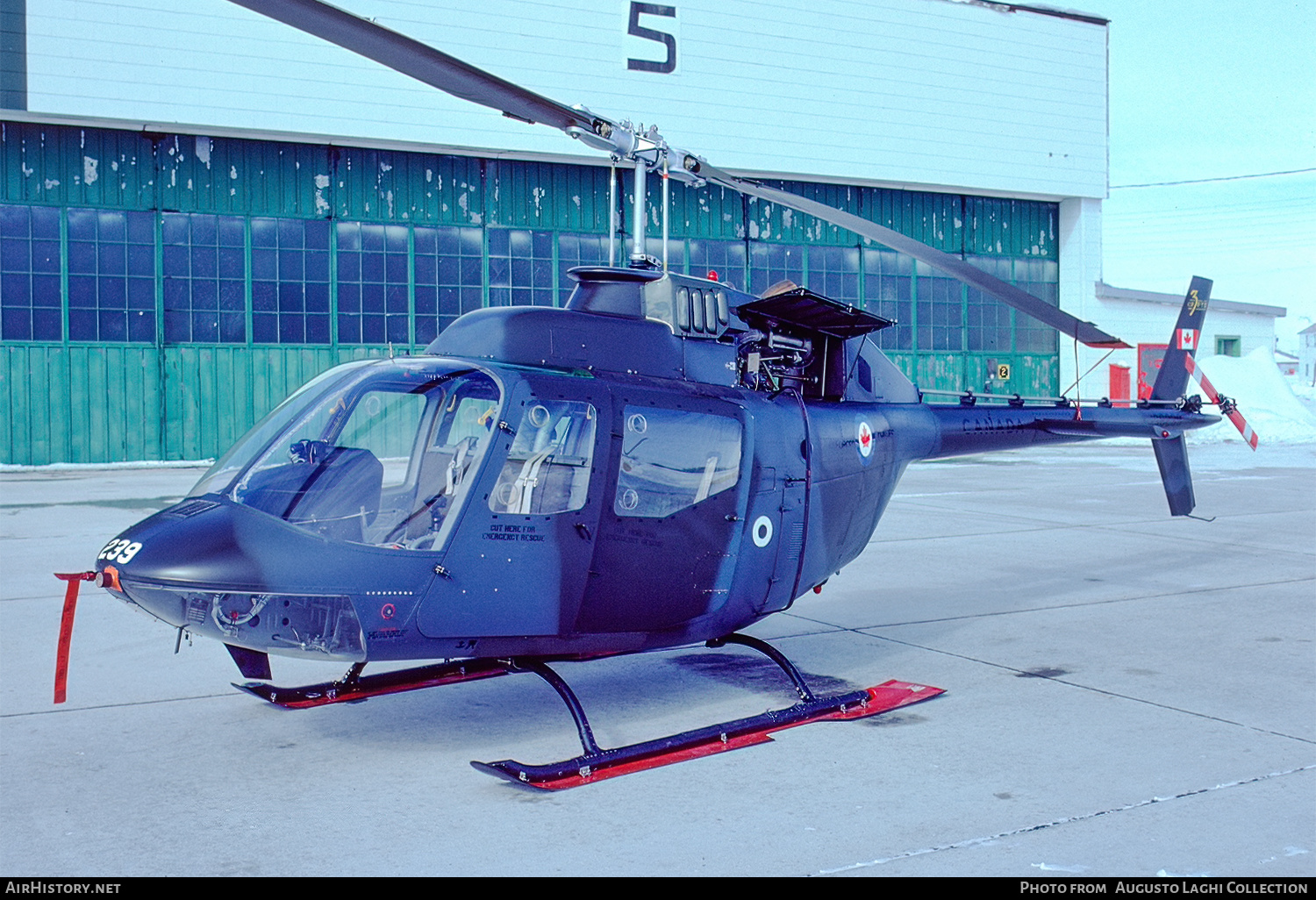 Aircraft Photo of 136239 | Bell CH-136 Kiowa (206A-1/COH-58A) | Canada - Air Force | AirHistory.net #646949