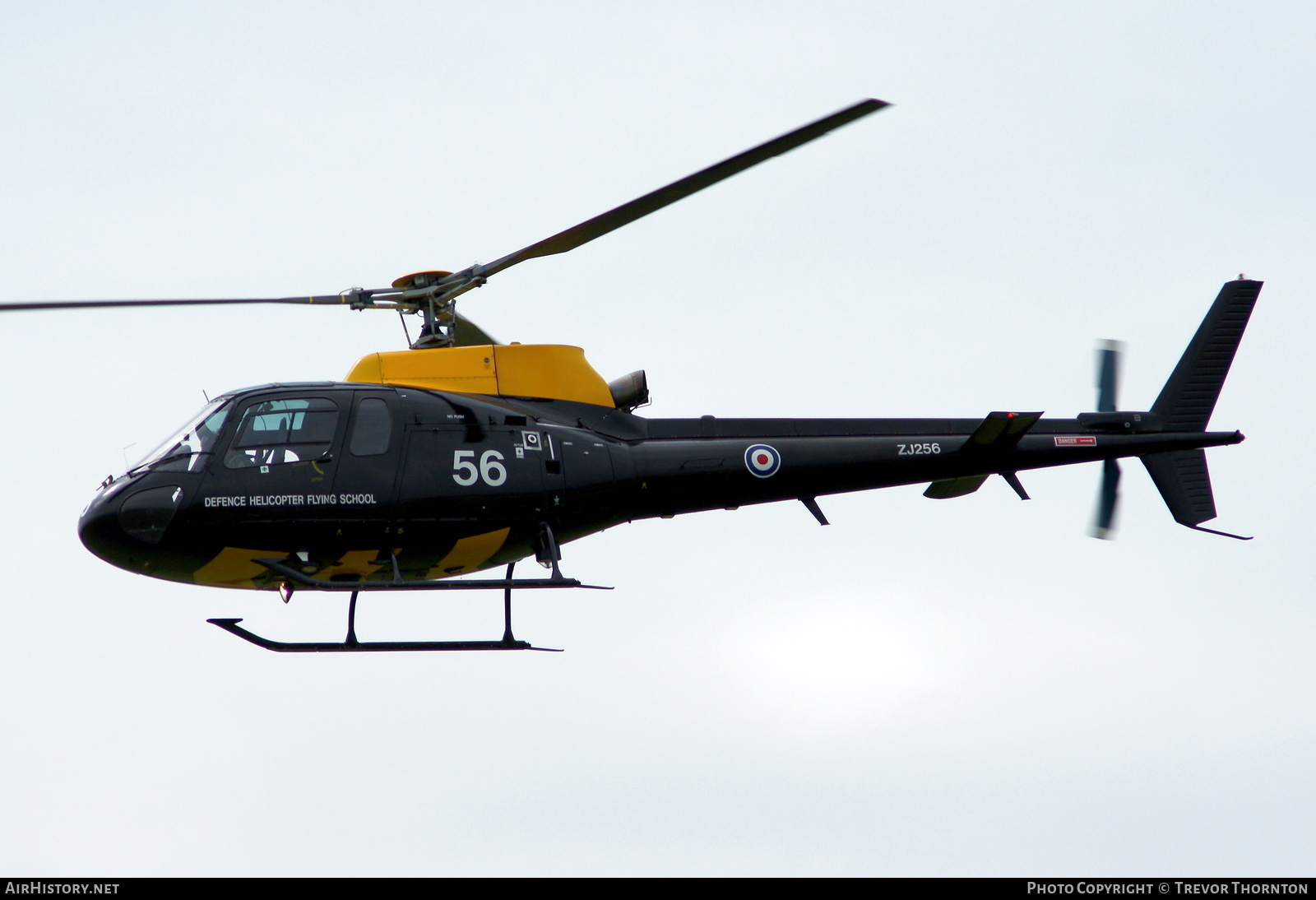Aircraft Photo of ZJ256 | Eurocopter AS-350BB Squirrel HT1 | UK - Air Force | AirHistory.net #649200