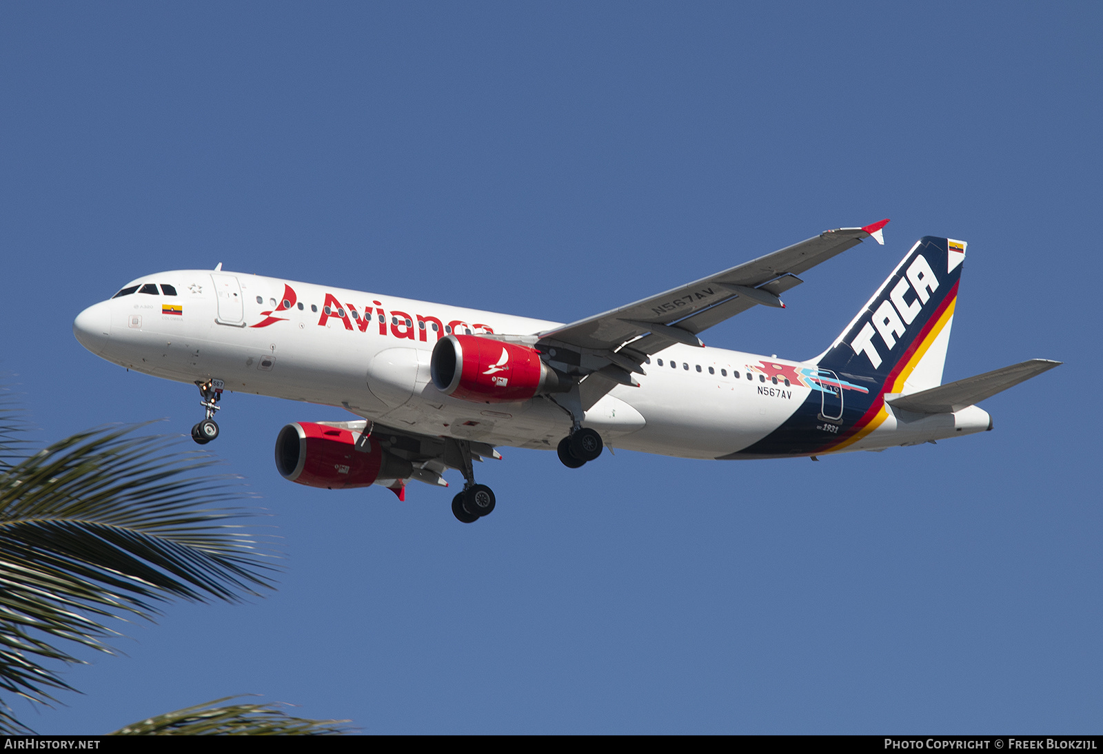 Aircraft Photo of N567AV | Airbus A320-214 | Avianca | TACA - Transportes Aéreos Centro Americanos | AirHistory.net #649530