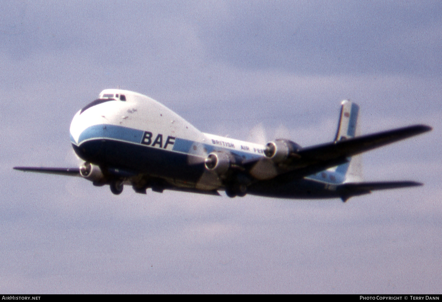 Aircraft Photo of G-ASKG | Aviation Traders ATL-98 Carvair | British Air Ferries - BAF | AirHistory.net #649909