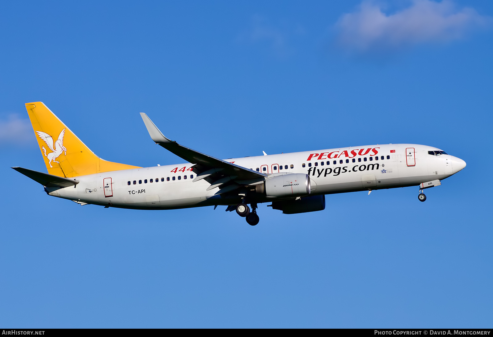 Aircraft Photo of TC-API | Boeing 737-86N | Pegasus Airlines | AirHistory.net #650429