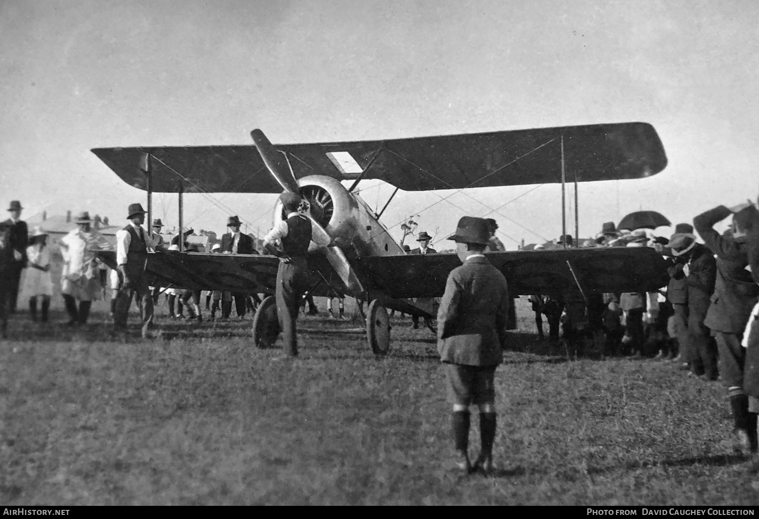Aircraft Photo of K168 | Sopwith Dove | AirHistory.net #651292