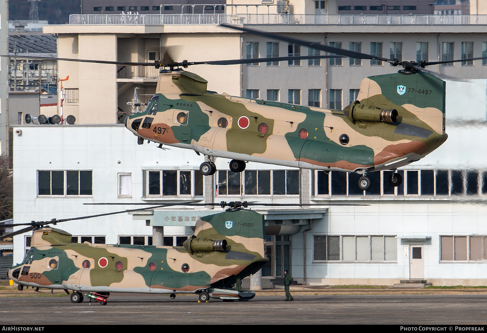 Aircraft Photo of 77-4497 | Boeing CH-47J Chinook (414) | Japan - Air Force | AirHistory.net #651524