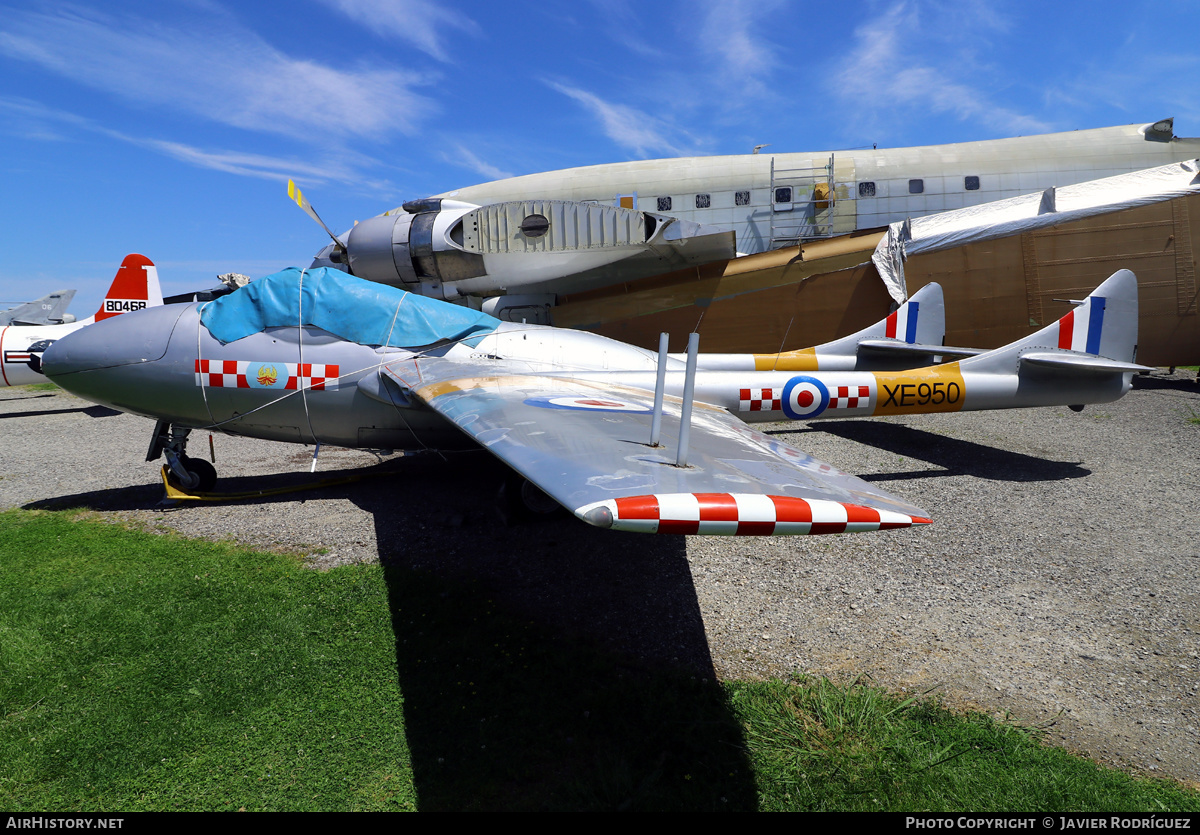 Aircraft Photo of XE950 | De Havilland D.H. 115 Vampire T11 | UK - Air Force | AirHistory.net #653317