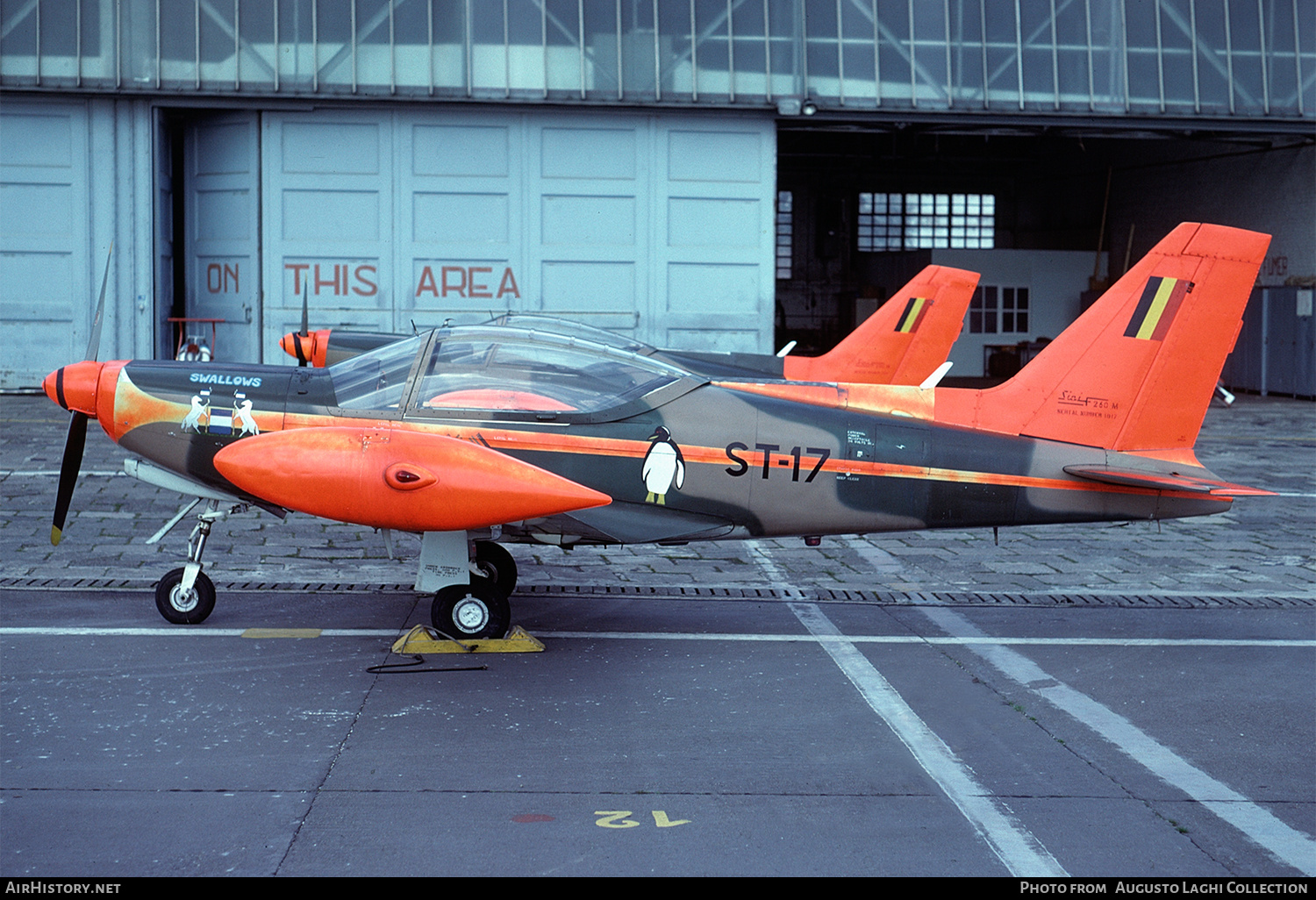 Aircraft Photo of ST-17 | SIAI-Marchetti SF-260M+ | Belgium - Air Force | AirHistory.net #653373