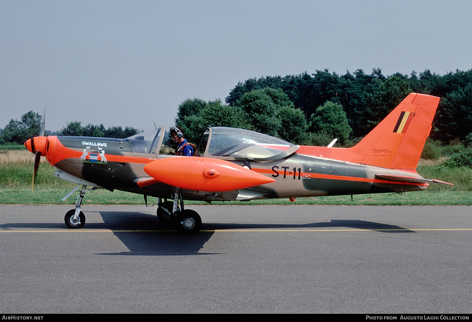 Aircraft Photo of ST-11 | SIAI-Marchetti SF-260MB | Belgium - Air Force | AirHistory.net #653436