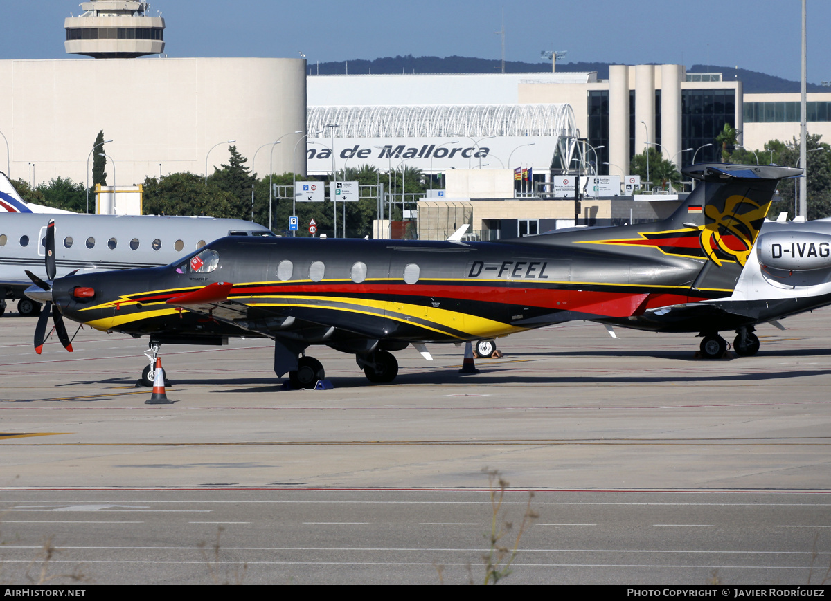 Aircraft Photo of D-FEEL | Pilatus PC-12NG (PC-12/47E) | AirHistory.net #655428