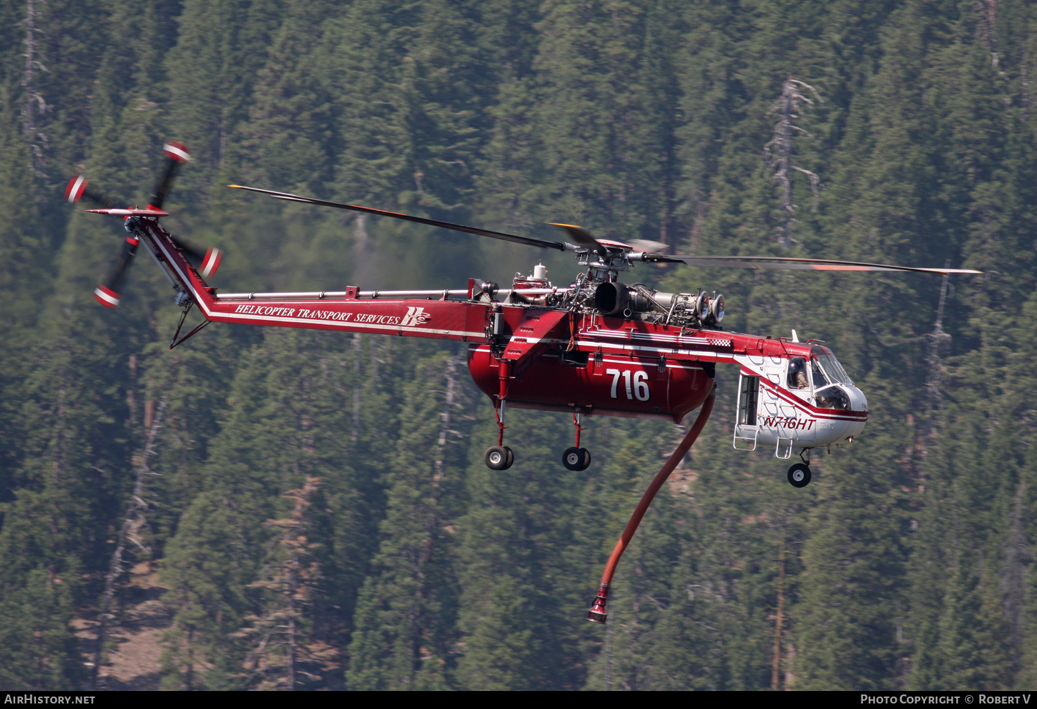 Aircraft Photo of N716HT | Sikorsky CH-54B Tarhe (S-64B) | HTS - Helicopter Transport Services | AirHistory.net #657028
