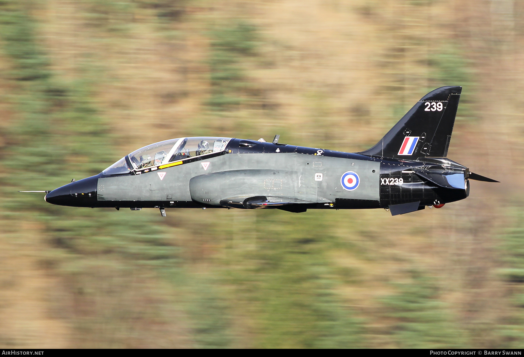 Aircraft Photo of XX239 | British Aerospace Hawk T.1W | UK - Air Force | AirHistory.net #657353