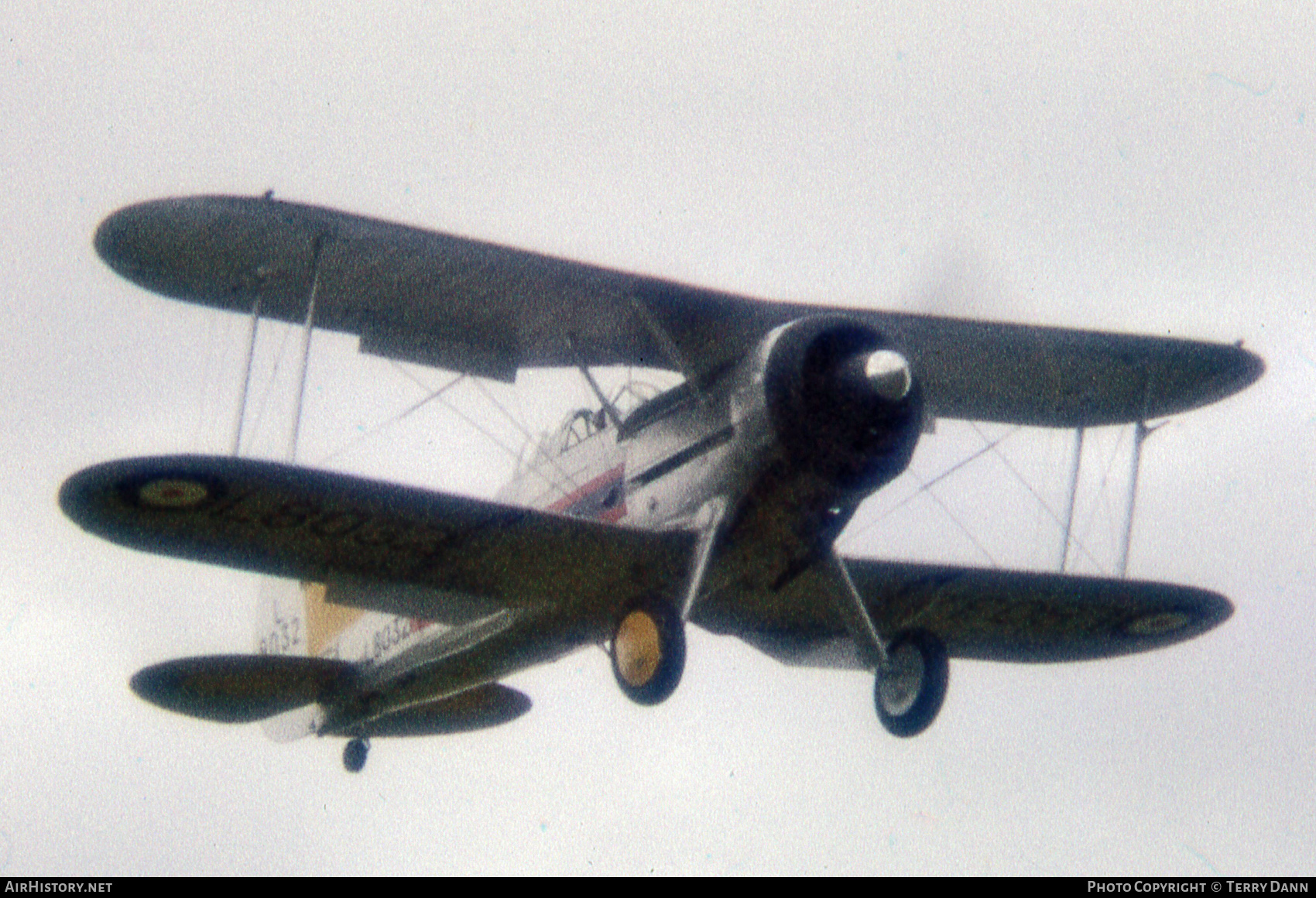 Aircraft Photo of G-AMRK / L8032 | Gloster Gladiator Mk1 | UK - Air Force | AirHistory.net #658165