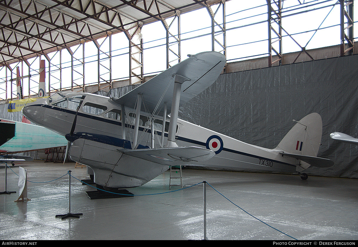 Aircraft Photo of G-AIDL / TX310 | De Havilland D.H. 89A Dragon Rapide | UK - Air Force | AirHistory.net #658689