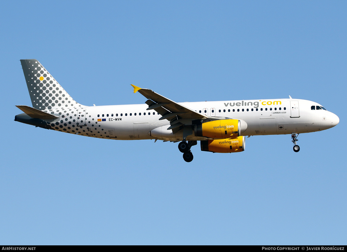 Aircraft Photo of EC-MVM | Airbus A320-232 | Vueling Airlines | AirHistory.net #659442
