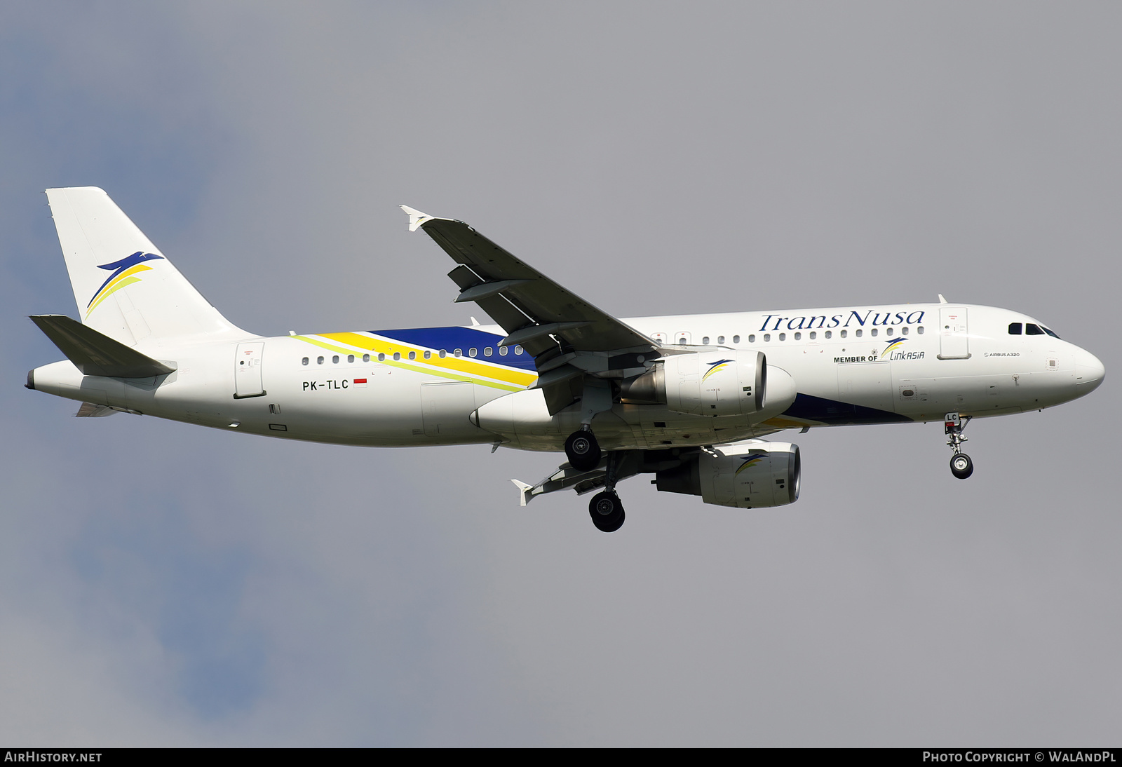 Aircraft Photo of PK-TLC | Airbus A320-214 | TransNusa Aviation | AirHistory.net #661443