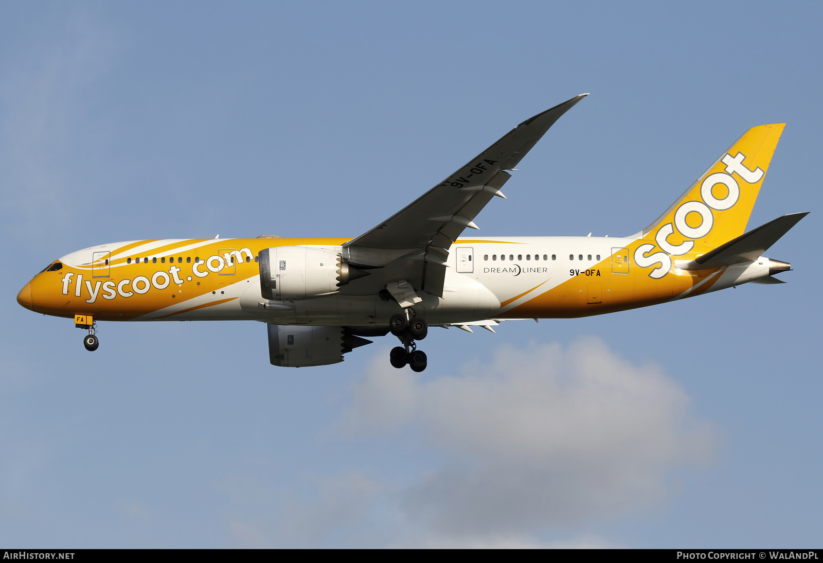 Aircraft Photo of 9V-OFA | Boeing 787-8 Dreamliner | Scoot | AirHistory.net #661772