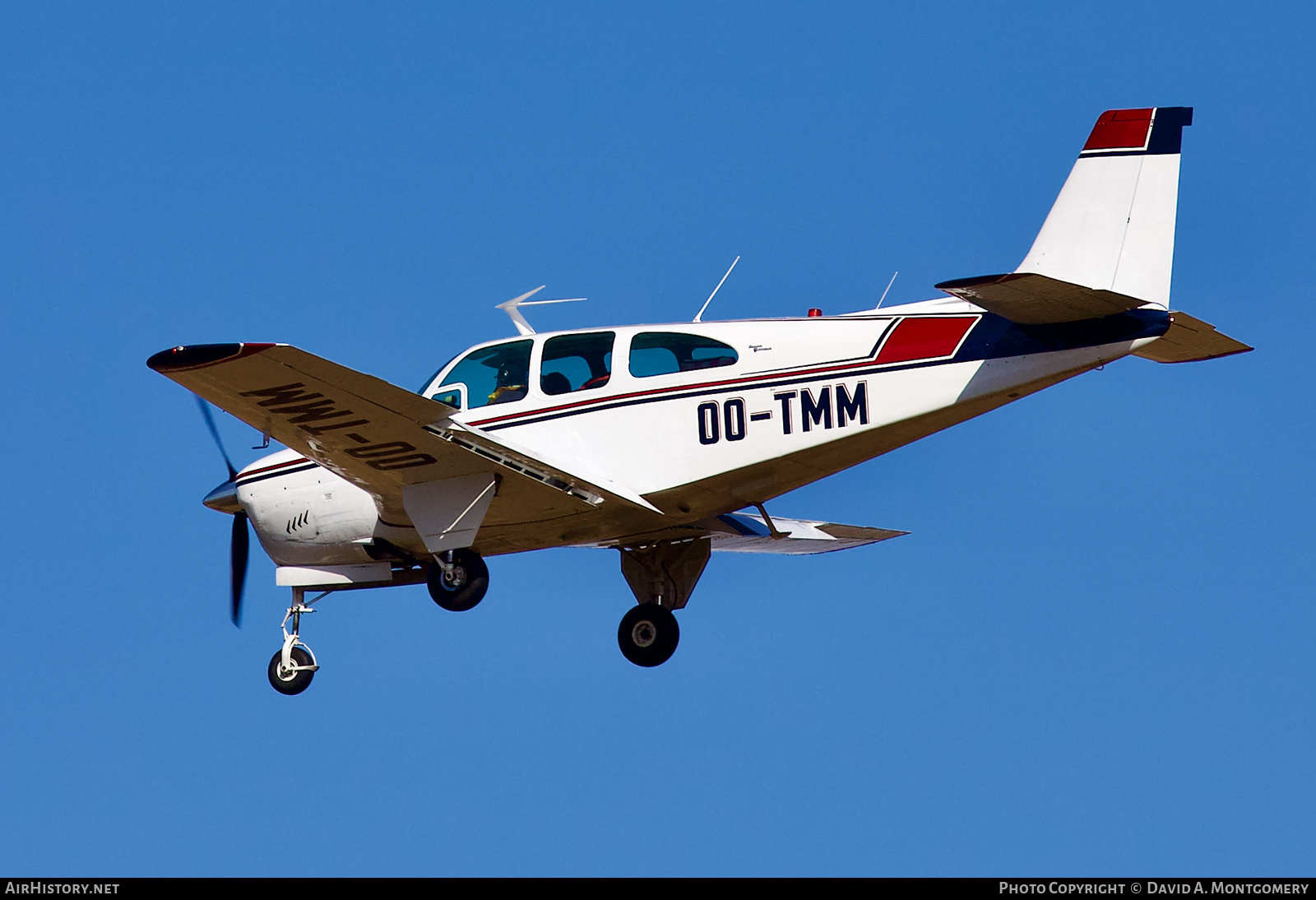 Aircraft Photo of OO-TMM | Beech 35-C33 Debonair | AirHistory.net #661971