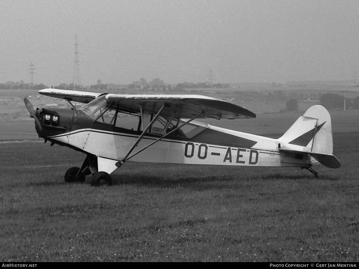Aircraft Photo of OO-AED | Piper J-3C-90 Cub | AirHistory.net #663326