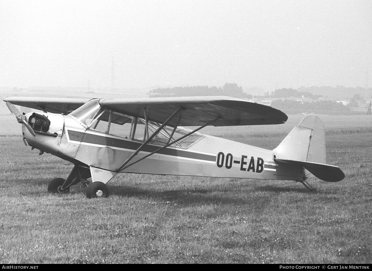 Aircraft Photo of OO-EAB | Piper J-3C-65 Cub | AirHistory.net #663327