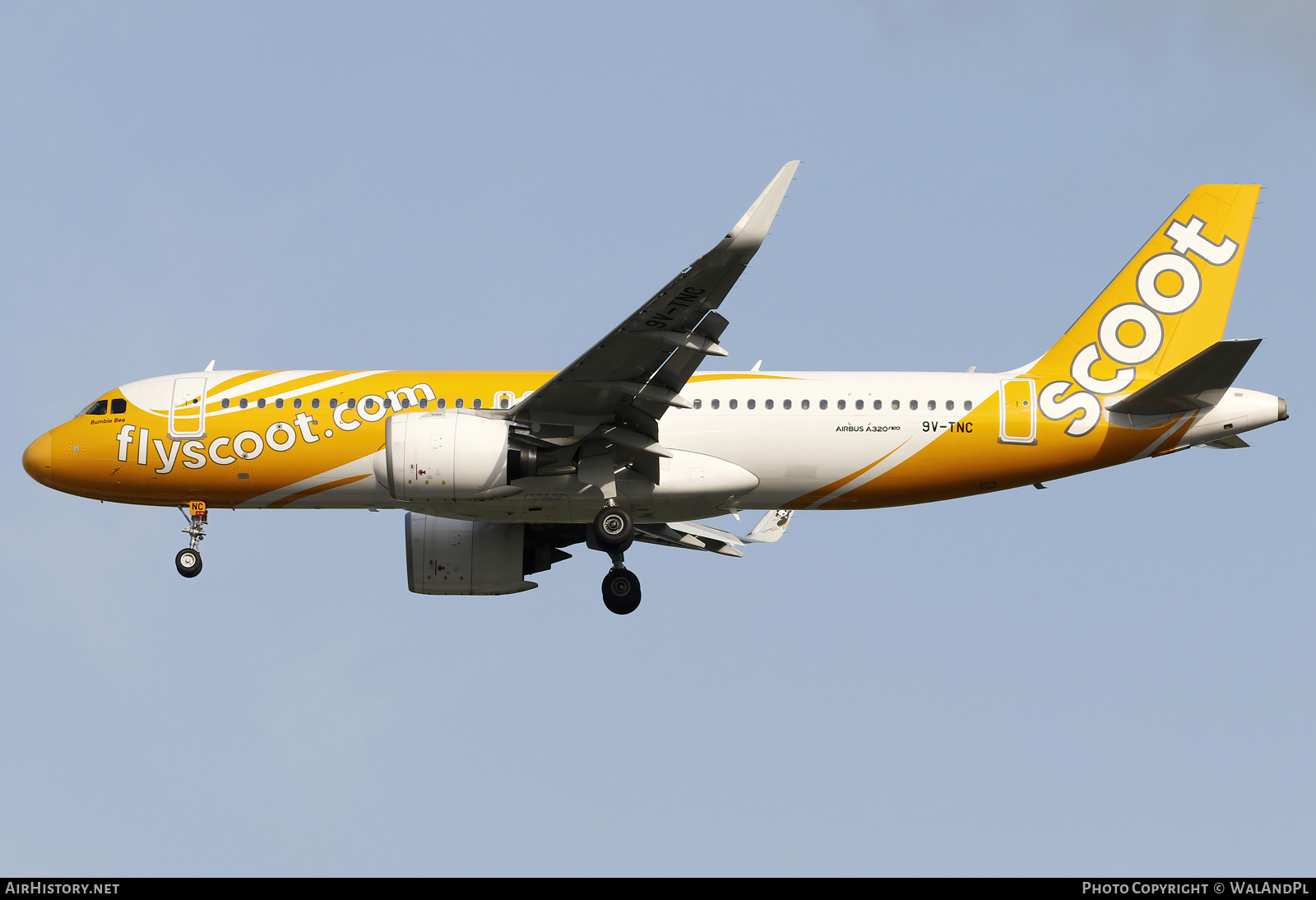 Aircraft Photo of 9V-TNC | Airbus A320-271N | Scoot | AirHistory.net #663360