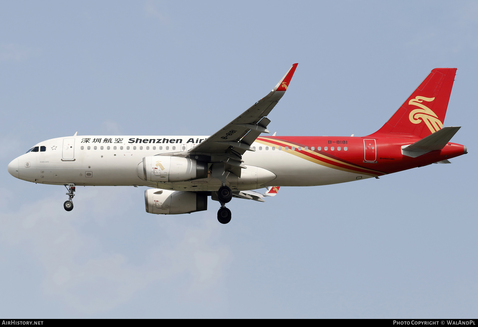 Aircraft Photo of B-8181 | Airbus A320-232 | Shenzhen Airlines | AirHistory.net #663364
