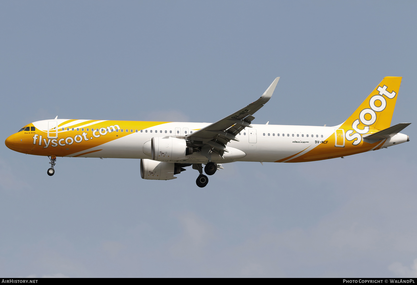 Aircraft Photo of 9V-NCF | Airbus A321-271NX | Scoot | AirHistory.net #663369