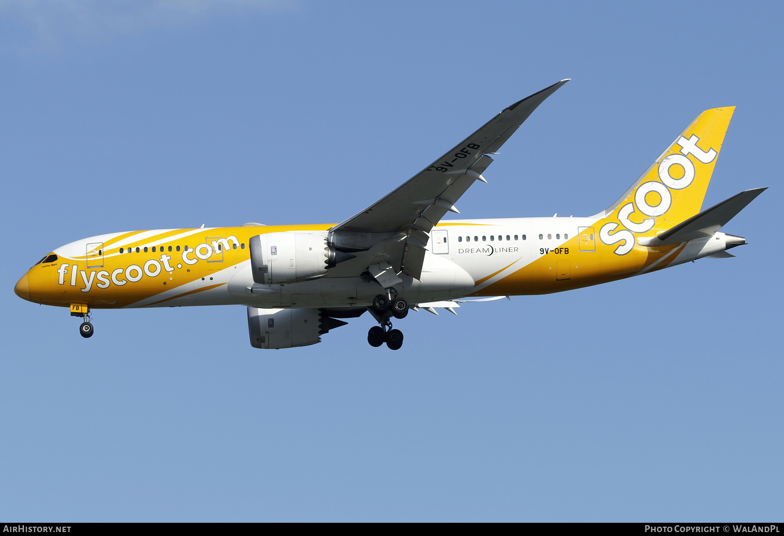 Aircraft Photo of 9V-OFB | Boeing 787-8 Dreamliner | Scoot | AirHistory.net #663395