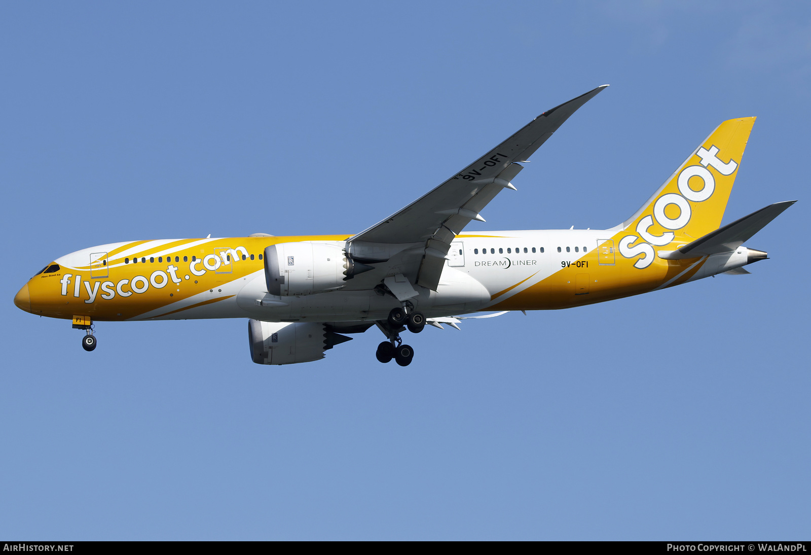 Aircraft Photo of 9V-OFI | Boeing 787-8 Dreamliner | Scoot | AirHistory.net #663790