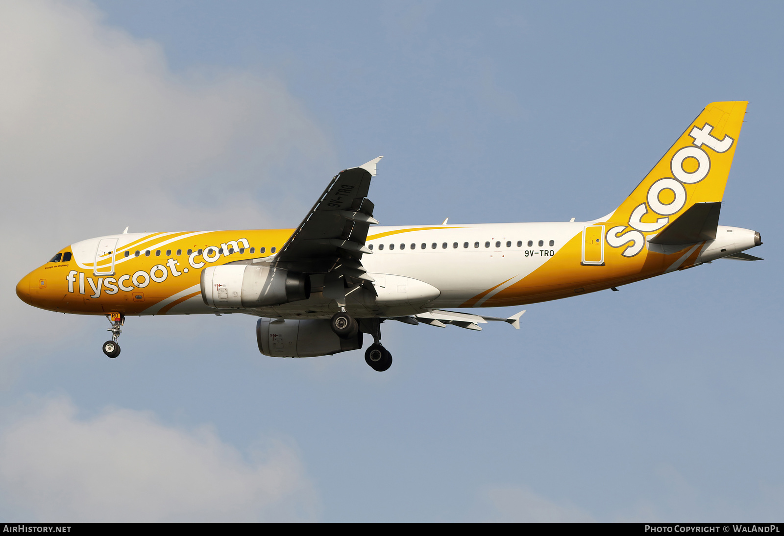 Aircraft Photo of 9V-TRO | Airbus A320-232 | Scoot | AirHistory.net #663983
