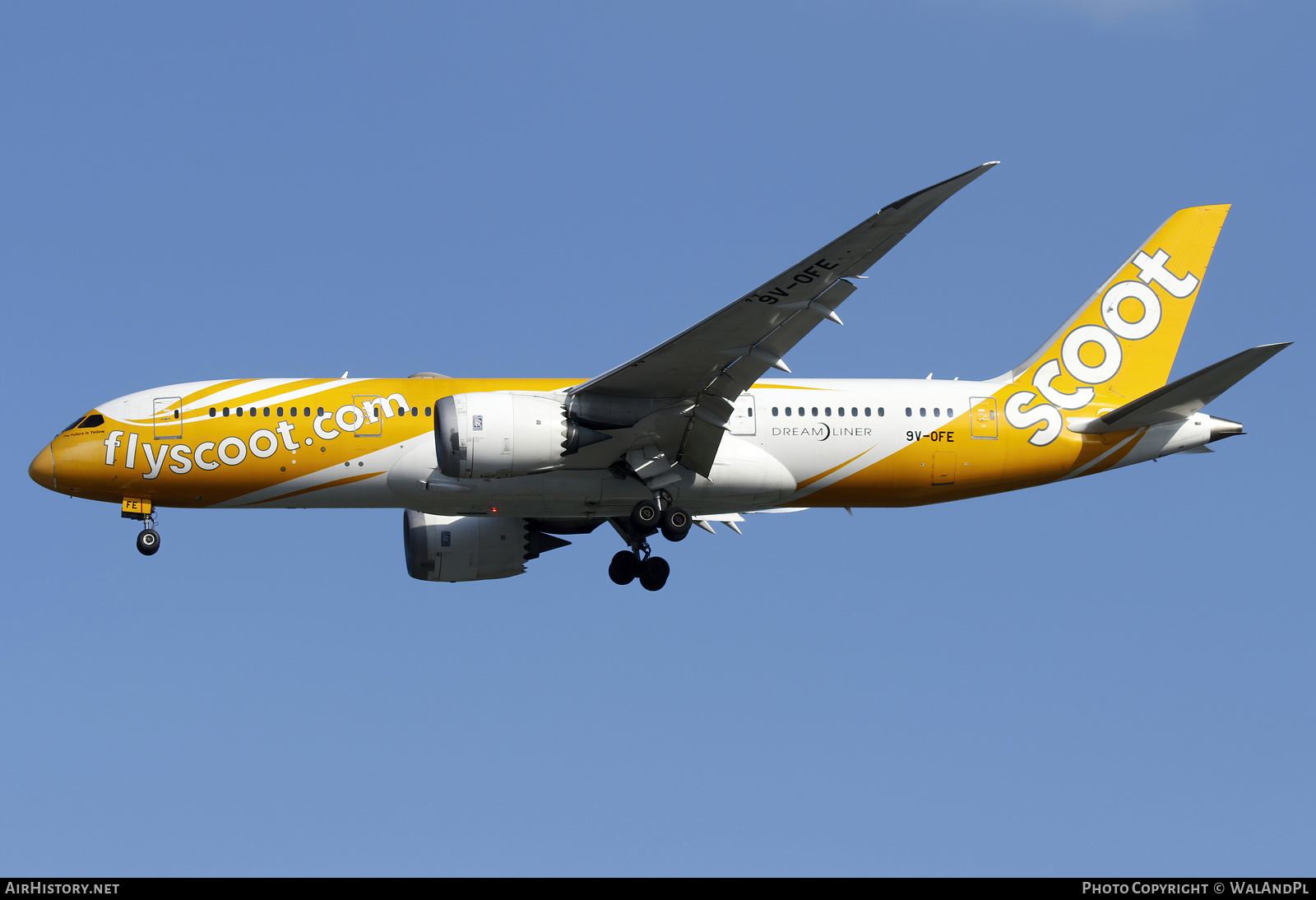 Aircraft Photo of 9V-OFE | Boeing 787-8 Dreamliner | Scoot | AirHistory.net #663988