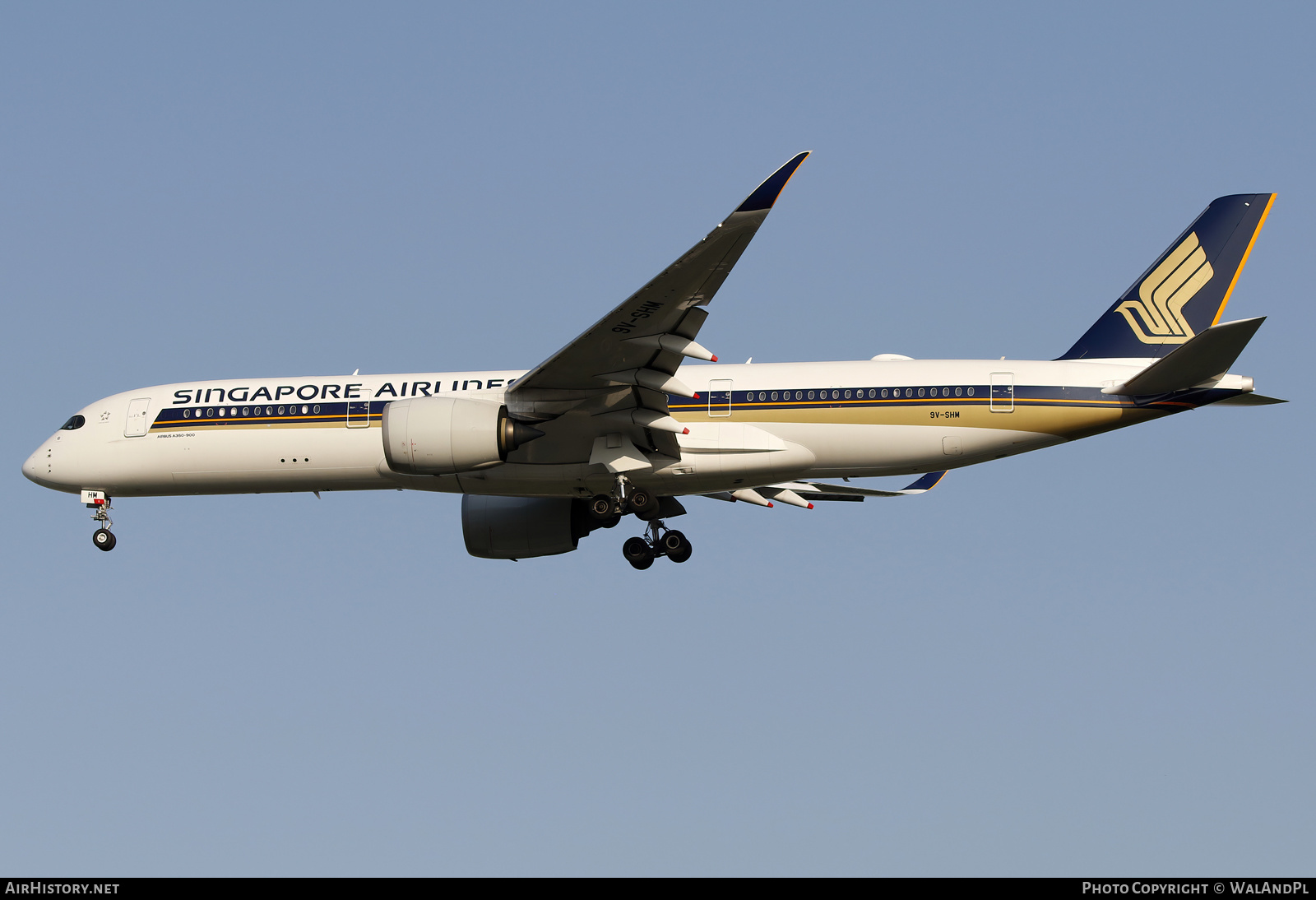 Aircraft Photo of 9V-SHM | Airbus A350-1041 | Singapore Airlines | AirHistory.net #663998