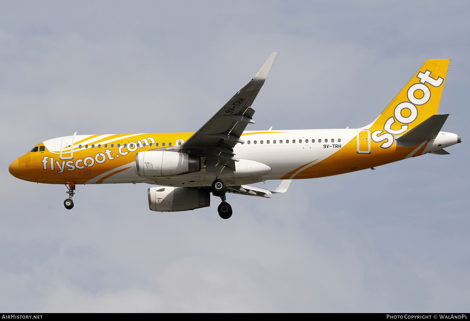 Aircraft Photo of 9V-TRH | Airbus A320-232 | Scoot | AirHistory.net #664004
