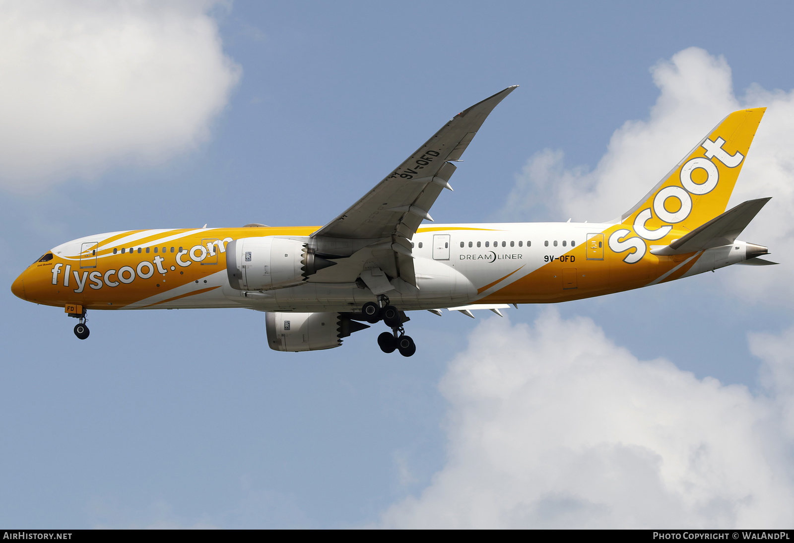 Aircraft Photo of 9V-OFD | Boeing 787-8 Dreamliner | Scoot | AirHistory.net #664460