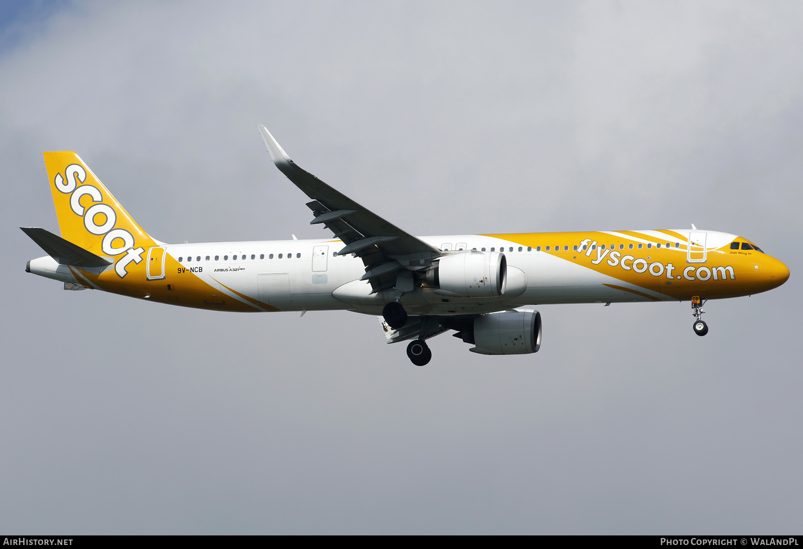 Aircraft Photo of 9V-NCB | Airbus A321-251NX | Scoot | AirHistory.net #664476