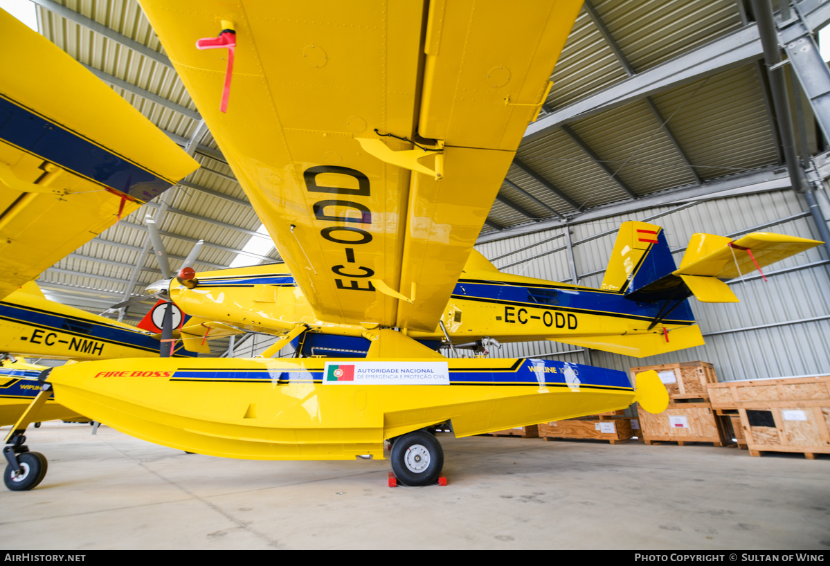 Aircraft Photo of EC-ODD | Air Tractor AT-802F Fire Boss (AT-802A) | Autoridade Nacional de Emergência e Proteção Civil | AirHistory.net #665048