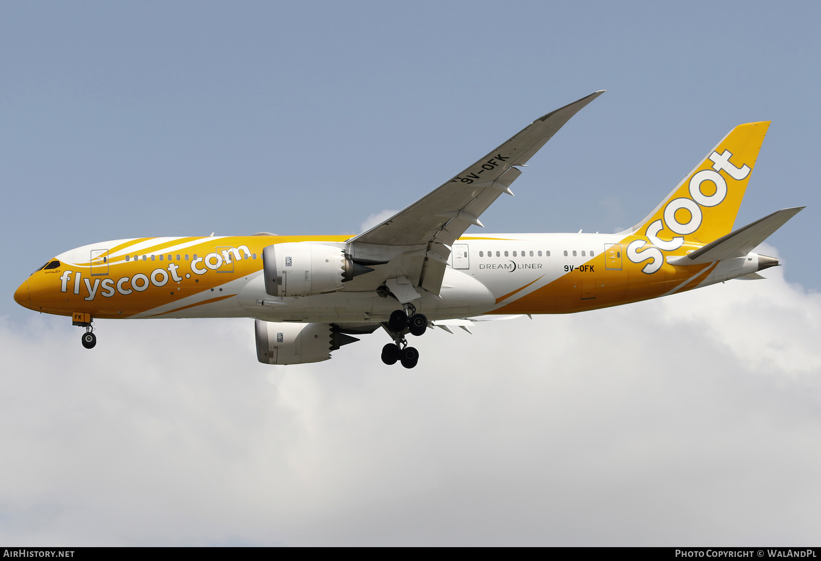 Aircraft Photo of 9V-OFK | Boeing 787-8 Dreamliner | Scoot | AirHistory.net #665067