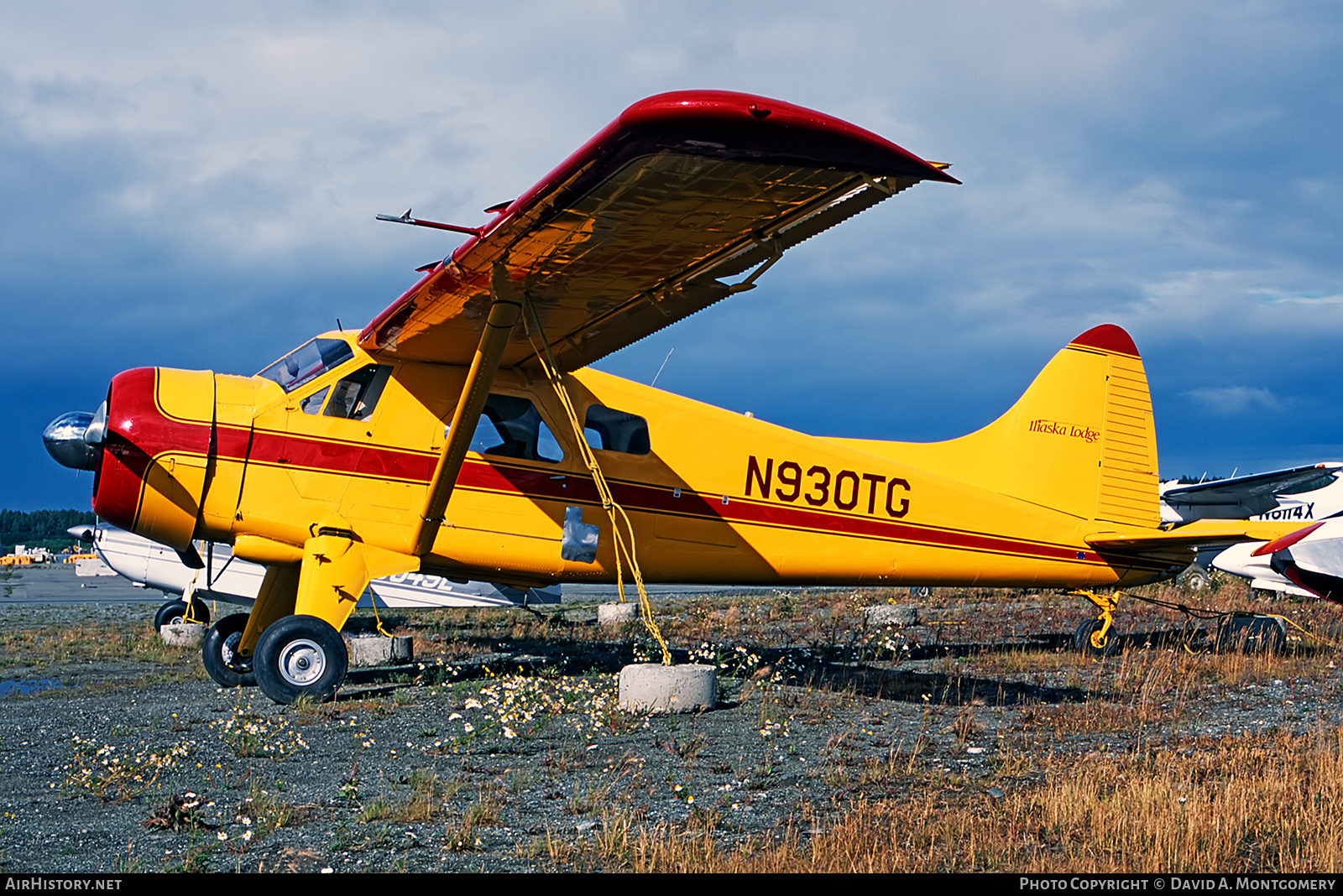 Aircraft Photo of N930TG | De Havilland Canada DHC-2 Beaver Mk1 | Iliaska Lodge | AirHistory.net #665262