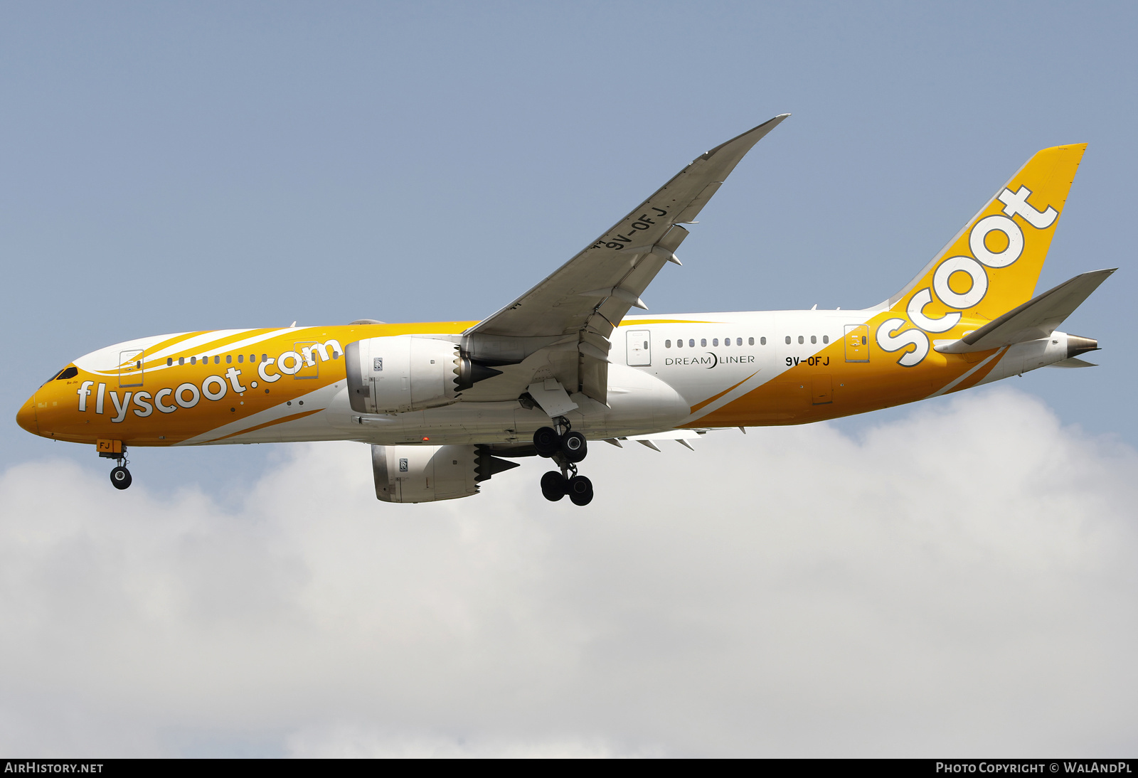 Aircraft Photo of 9V-OFJ | Boeing 787-8 Dreamliner | Scoot | AirHistory.net #665909