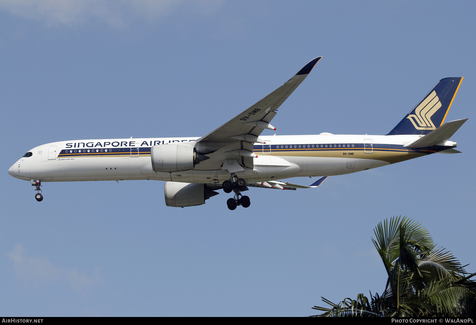 Aircraft Photo of 9V-SMB | Airbus A350-941 | Singapore Airlines | AirHistory.net #665941