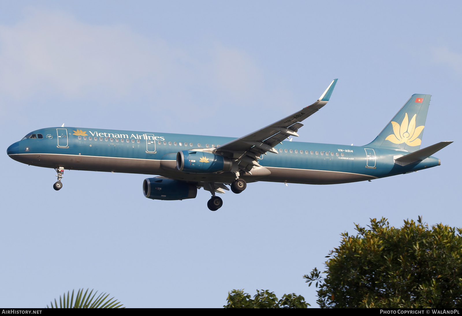 Aircraft Photo of VN-A614 | Airbus A321-231 | Vietnam Airlines | AirHistory.net #666206