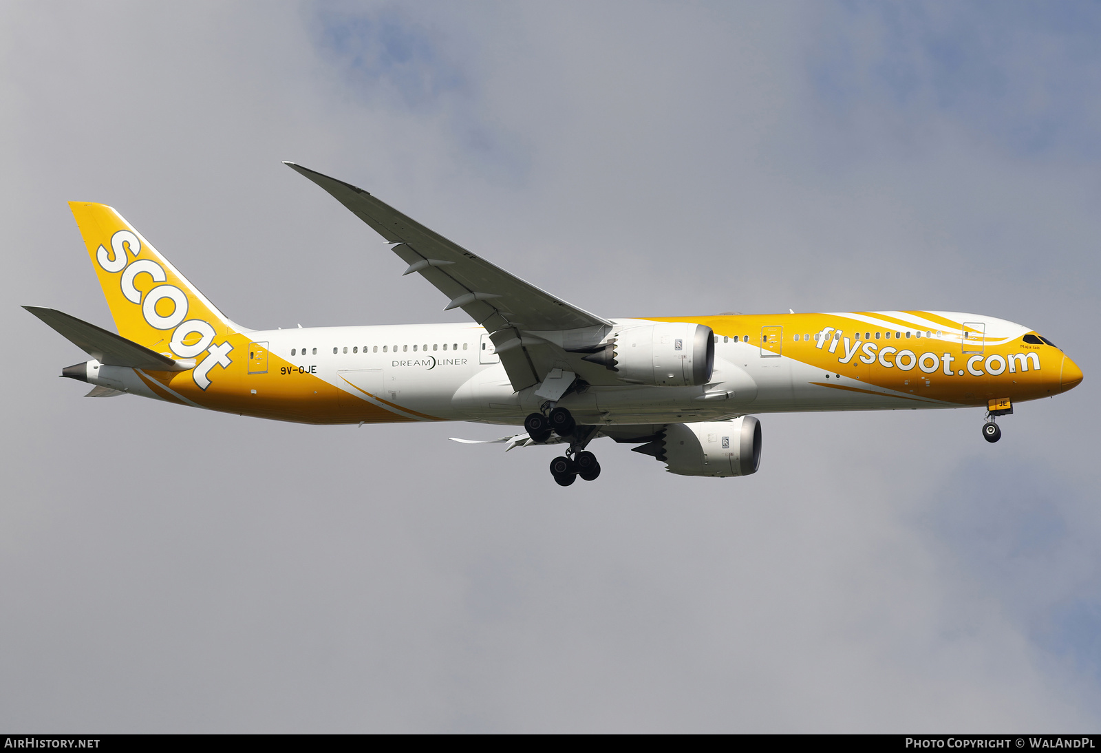 Aircraft Photo of 9V-OJE | Boeing 787-9 Dreamliner | Scoot | AirHistory.net #666218