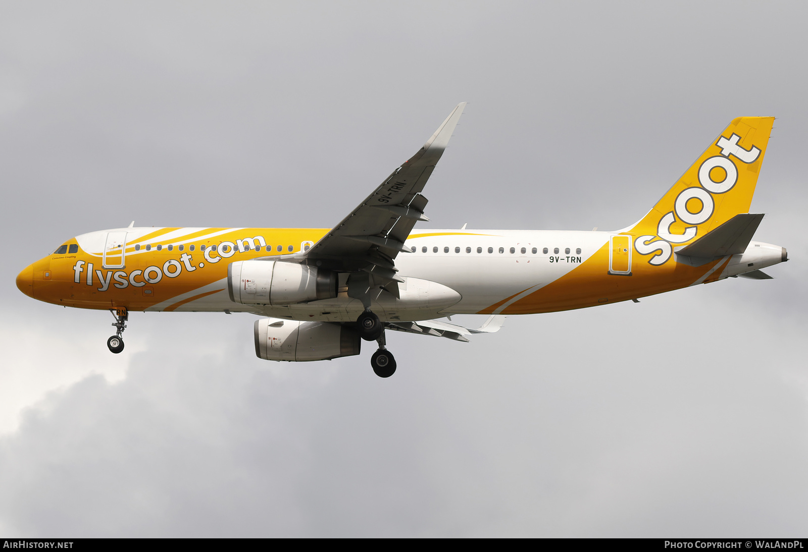 Aircraft Photo of 9V-TRN | Airbus A320-232 | Scoot | AirHistory.net #666282