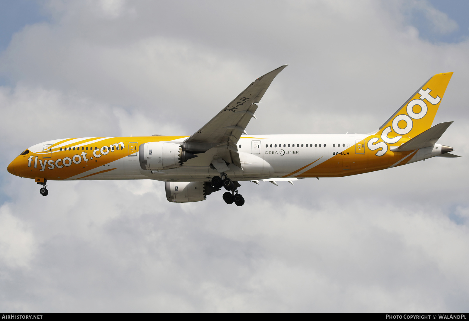 Aircraft Photo of 9V-OJH | Boeing 787-9 Dreamliner | Scoot | AirHistory.net #666436